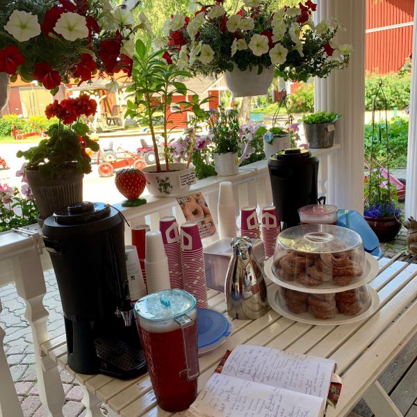 67782260_2597934126904565_5524884851120930816_o