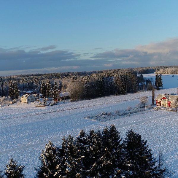 80725288_2938317946199513_1999787414976987136_o