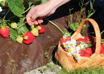 tausta_slider tausta_slider